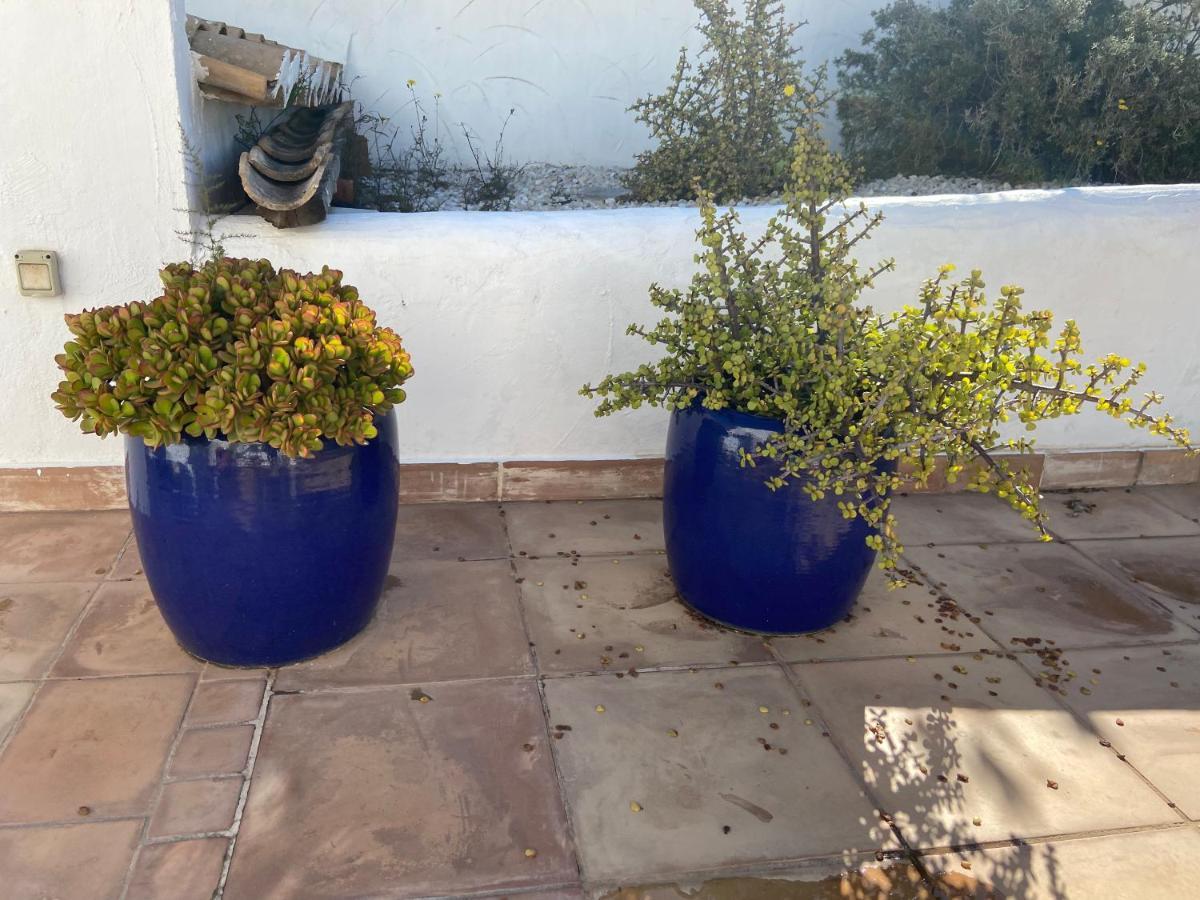 Jávea Exteriér fotografie